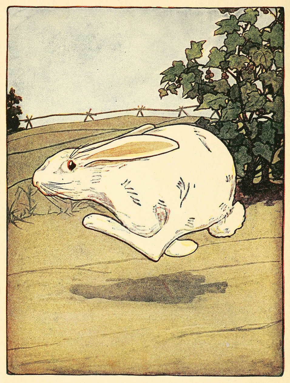 Peter sluttet aldri å løpe, fra The Tale of Peter Rabbit, pub. 1916 fargelitografi, 1916. av American School