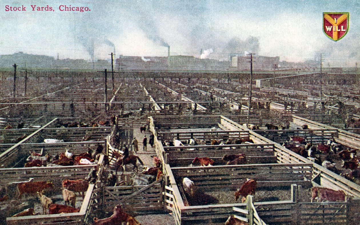 Postkort som viser lagergårdene og slakteriene i Chicago, ca. 1910 (farget bilde) av American School