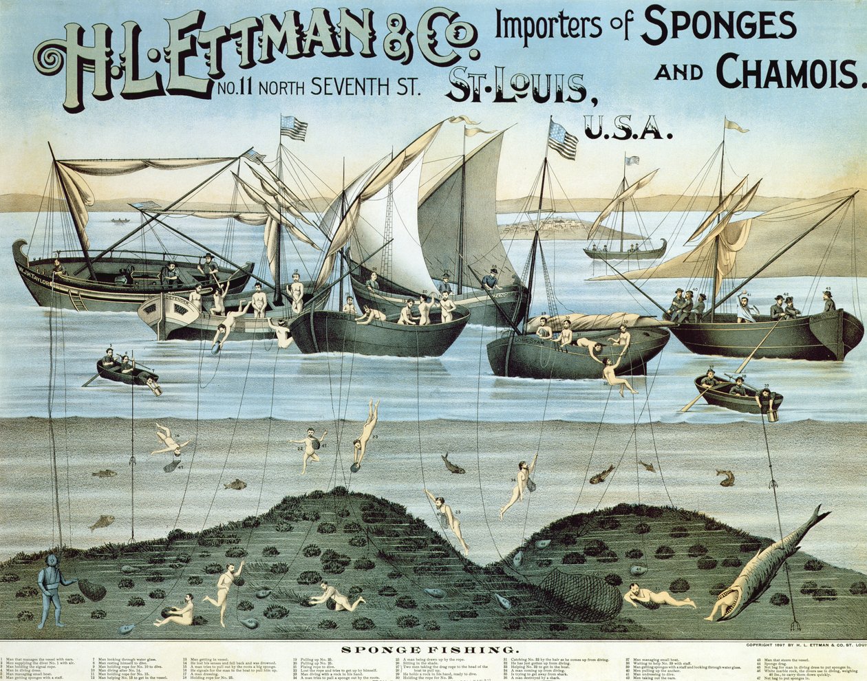 Plakatreklame HL Ettman & Co., Importers of Sponges and Chamois, 1897 av American School