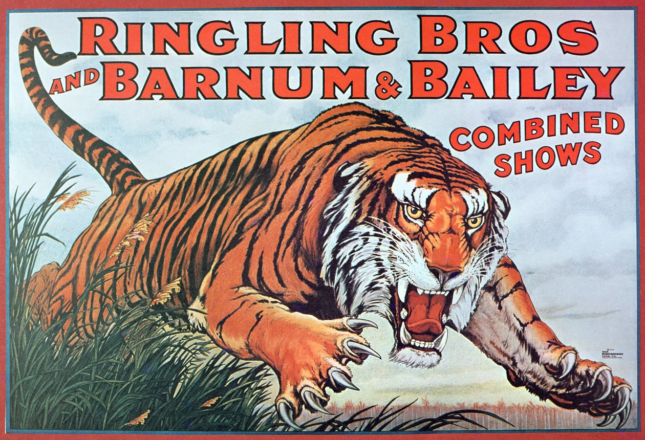 Plakat som annonserer «Ringling Bros. og Barnum & Bailey Combined Shows» av American School