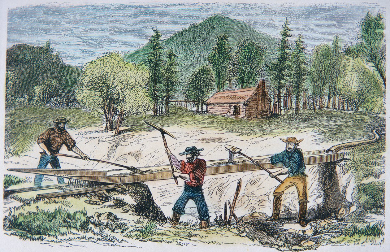Prospektører som bruker en sluse under California Gold Rush i 1849 (farge litho) av American School