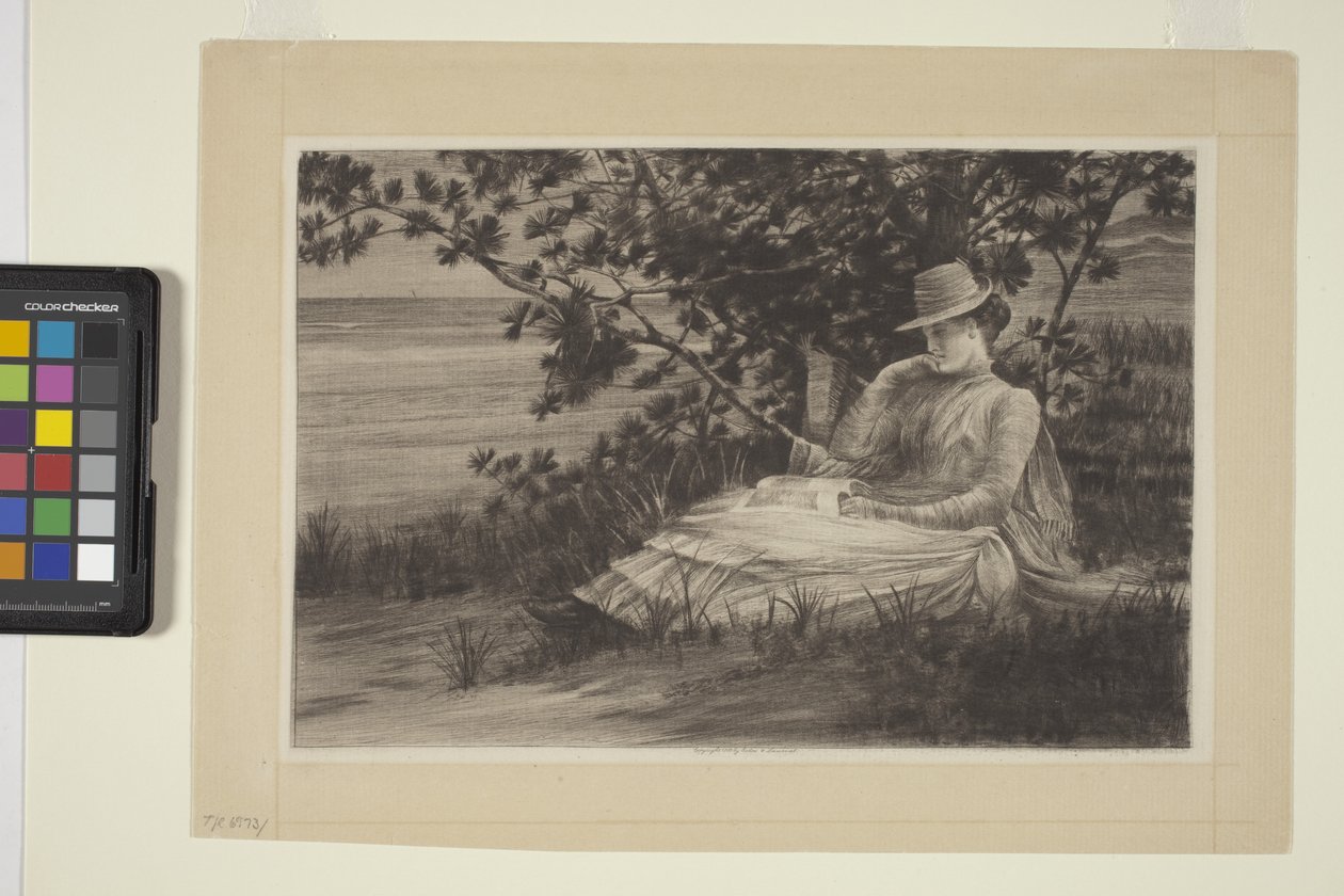Reverie (blekk) av American School