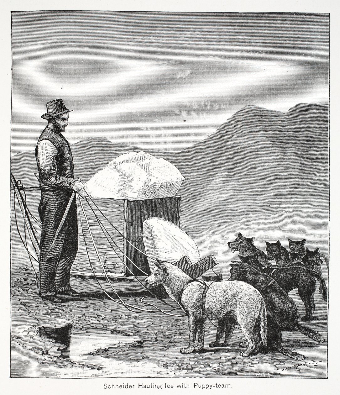 Schneider drar is med valpelaget, pub. London 1886 av American School