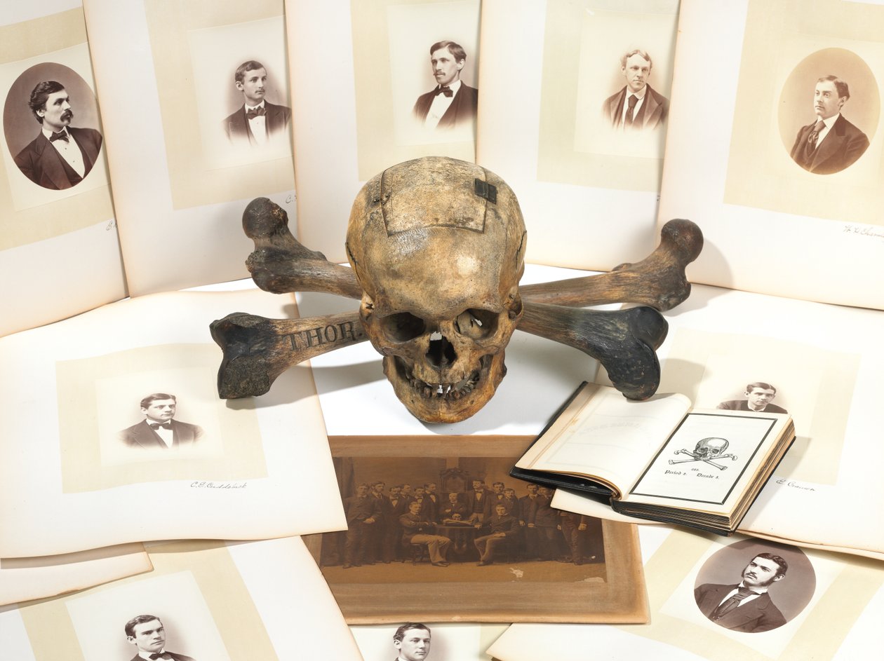 Skull-and-Bones stemmeurne av American School
