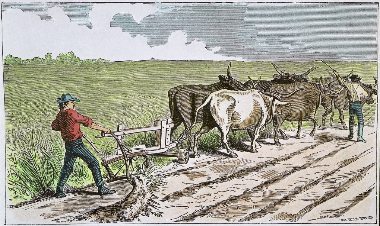 Sodbusters of the American West, ca. 1880 (farget gravering) av American School