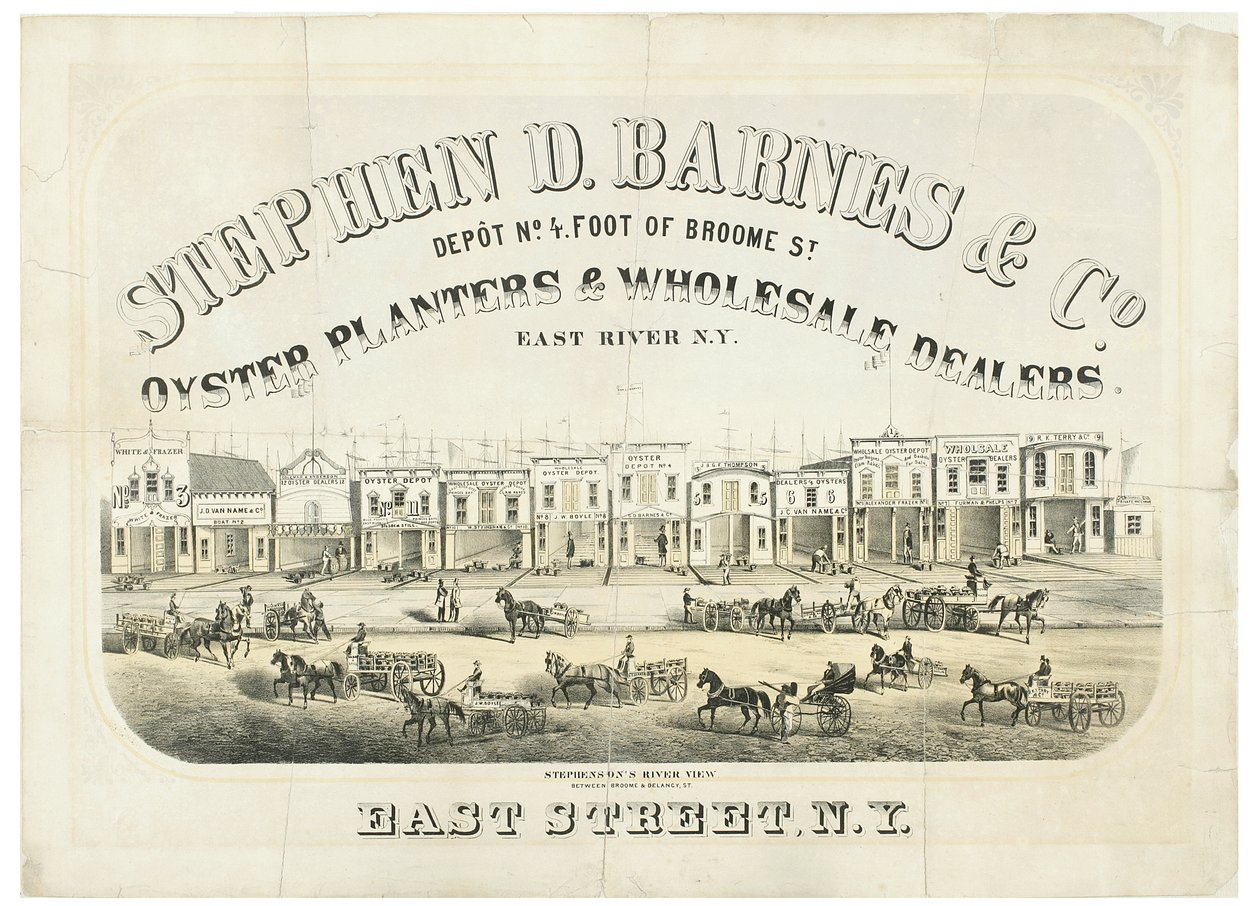 Stephen D. Barnes & Co. Østersplantere og grossister, depotnr. 4 fot fra Broome Street av American School