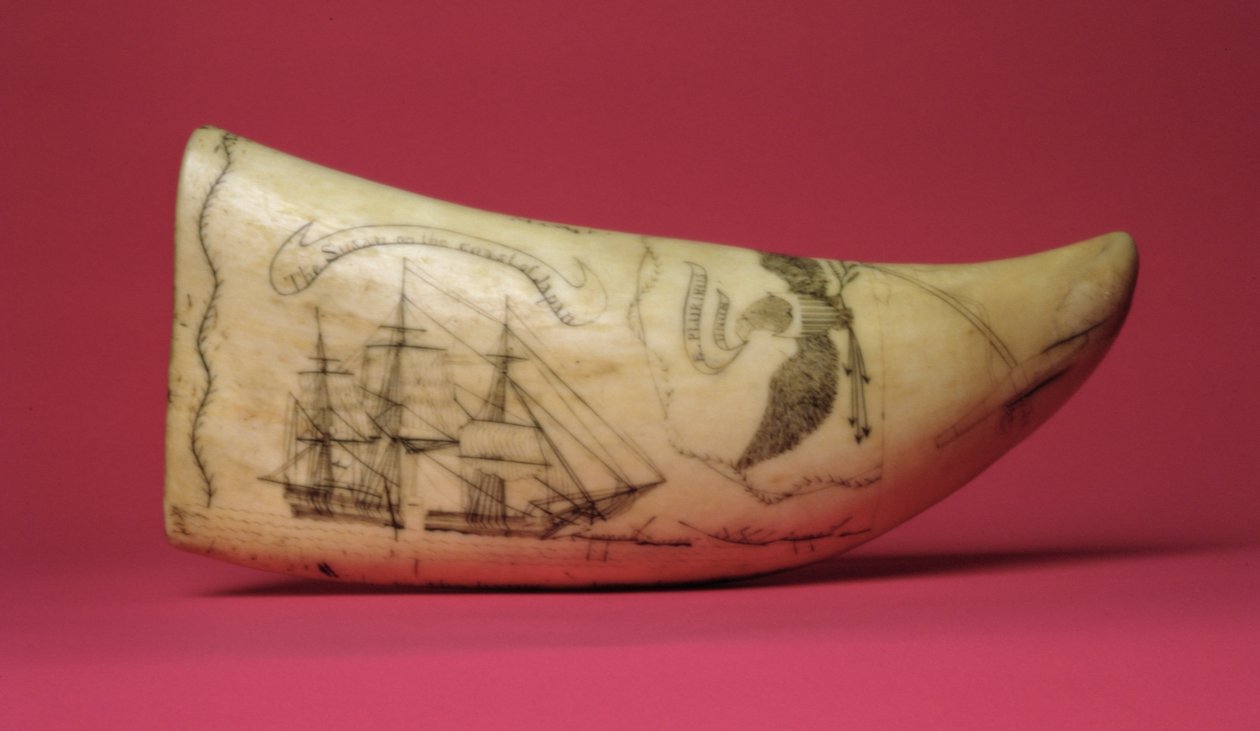 Susan på kysten av Japan Scrimshaw (tann) av American School