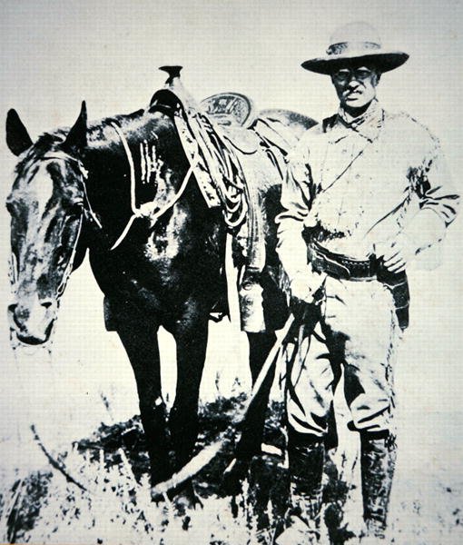 Theodore Roosevelt med hesten sin, ca. 1885 (lito) av American School