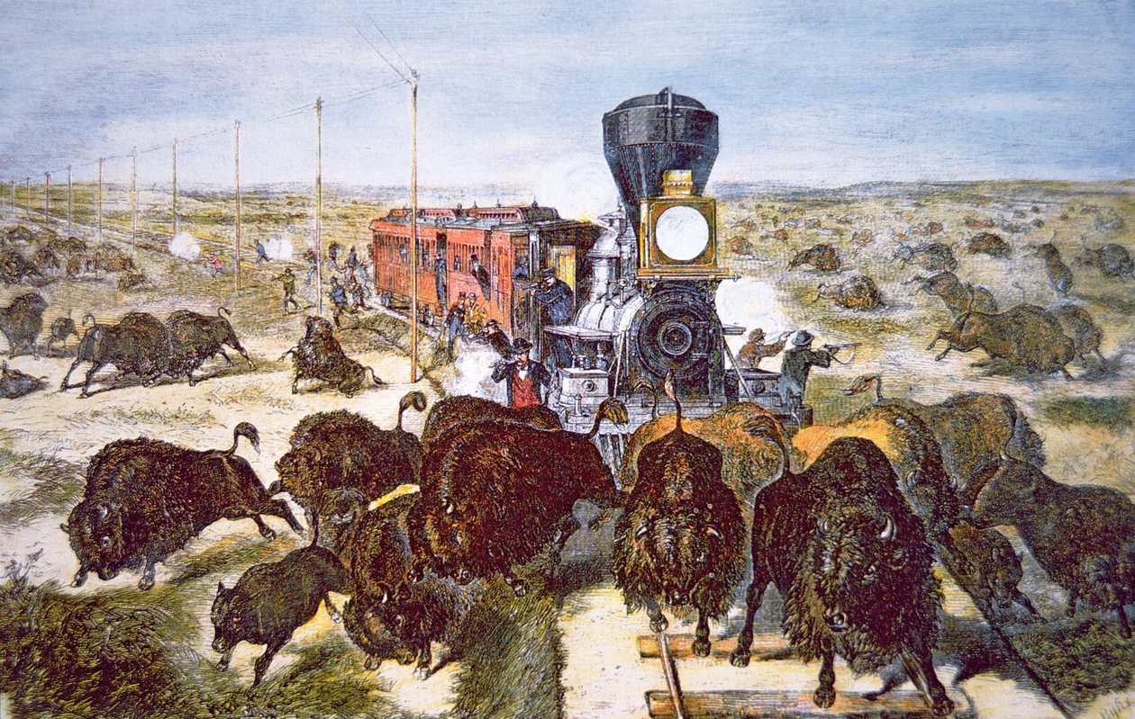 Togpassasjerer på Kansas Pacific Railroad, som skjøt bøffel for sport på 1870-tallet (farge litho) av American School