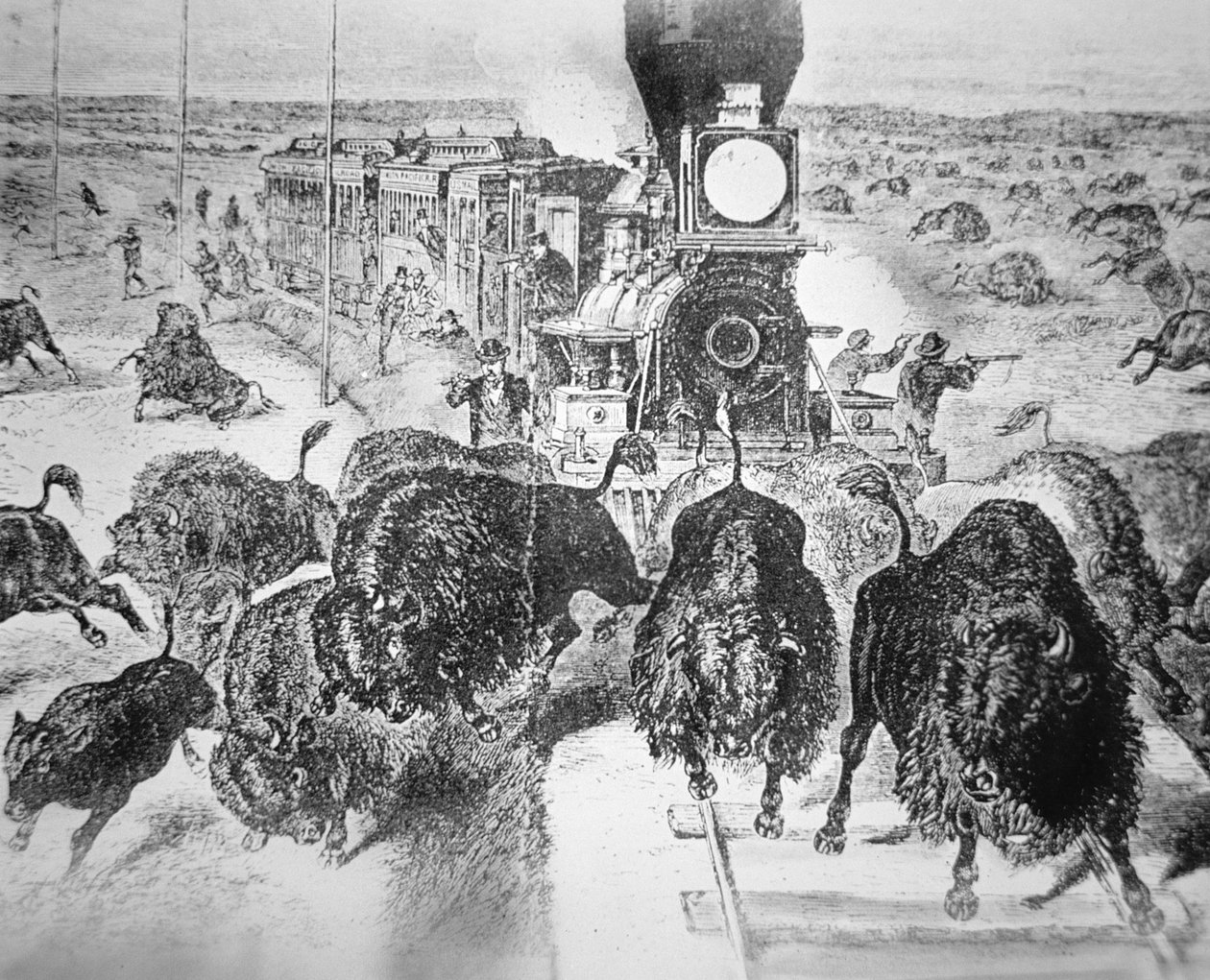 Togpassasjerer på Kansas Pacific Railroad, som skjøt bøffel for sport på 1870-tallet (litho) av American School