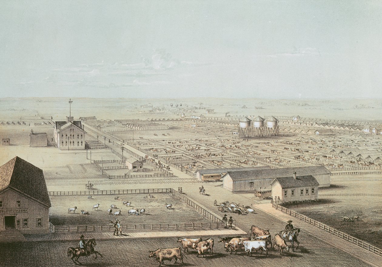 Union Stockyards, Chicago av American School