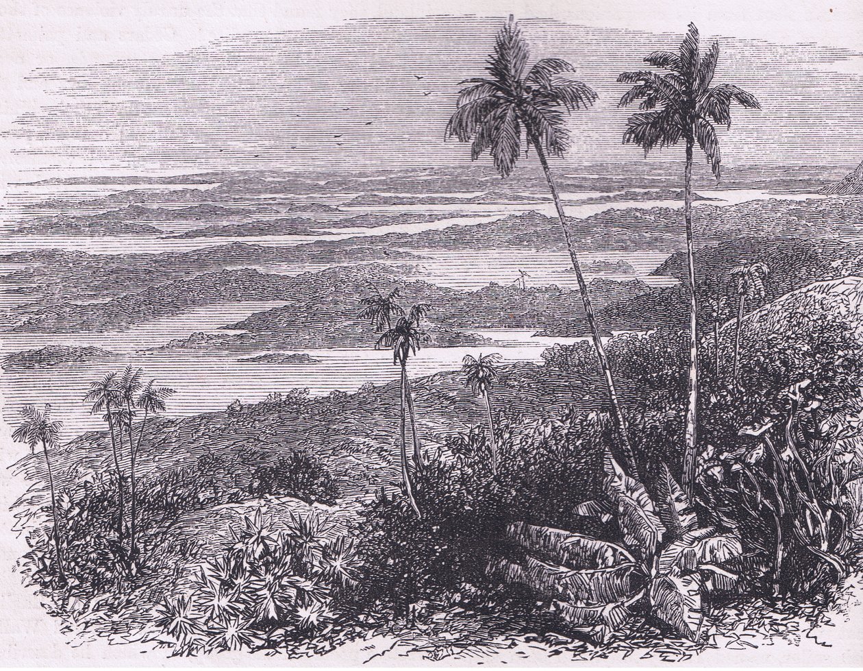 View of the Bermudas, illustrasjon fra Cassell