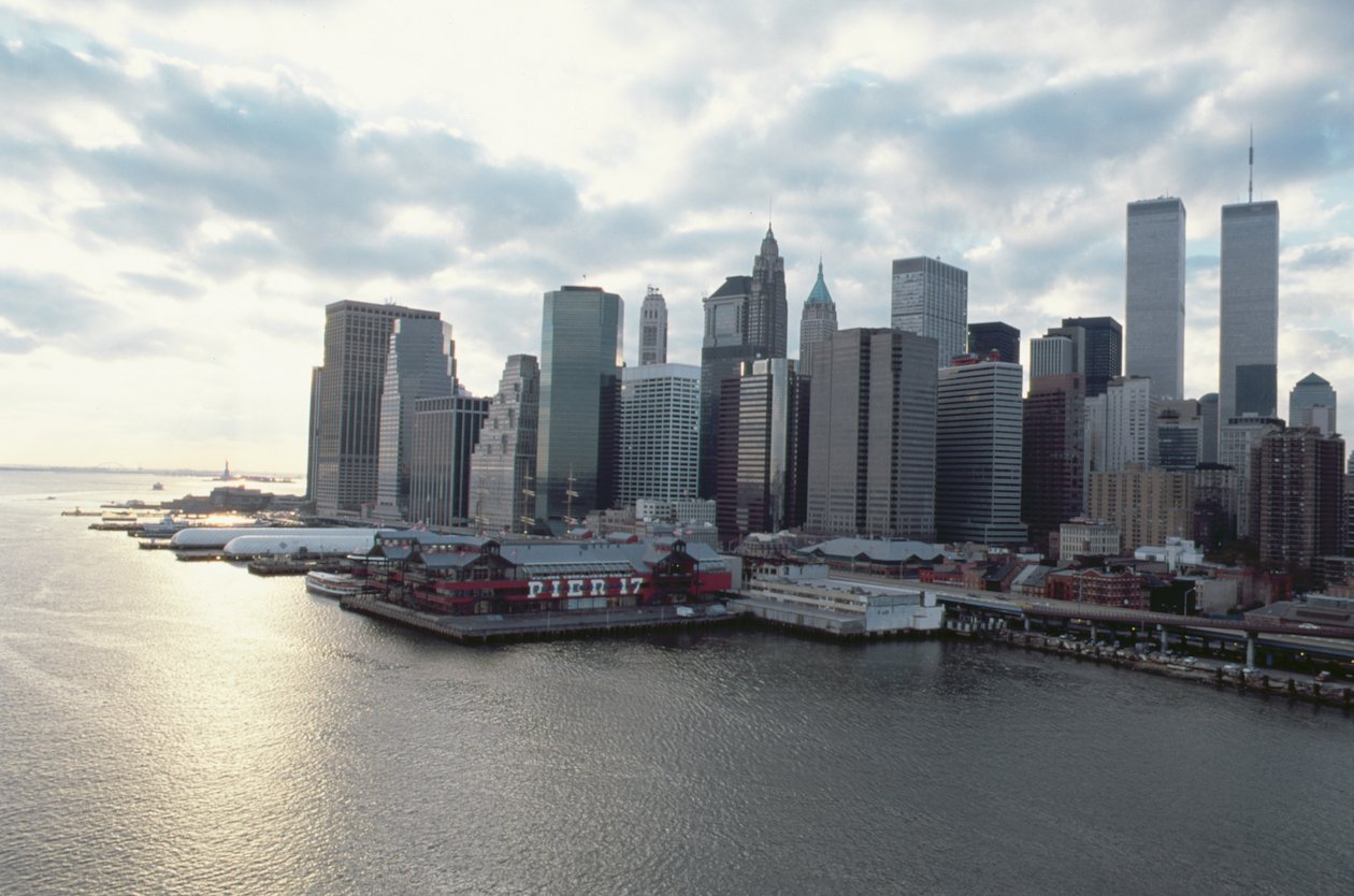 Utsikt mot finansdistriktet over East River av American School