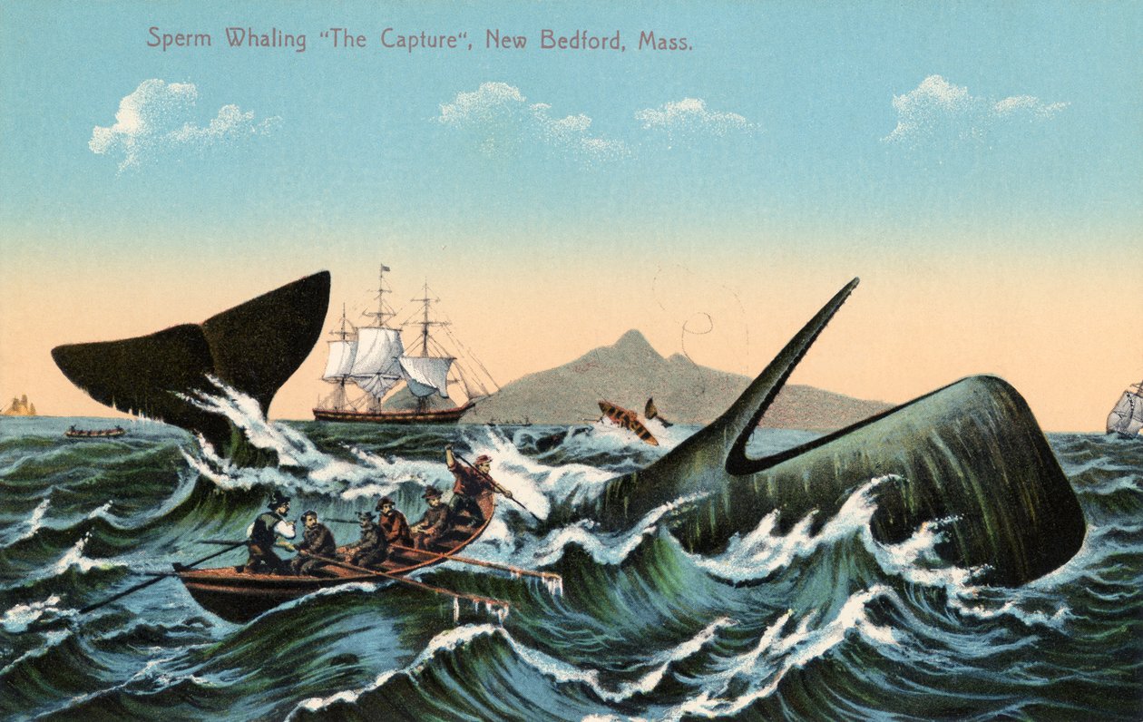Hvalfangere harpunerer en spermhval utenfor New Bedford, Massachusetts av American School