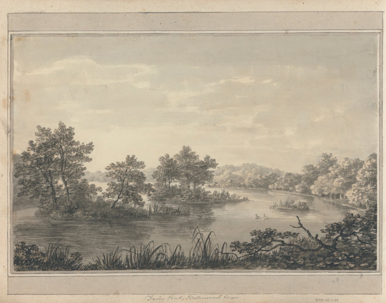 Utsikt i England, Skottland og Wales: Darley Pond, Buttercoomb Moor av Amos Green