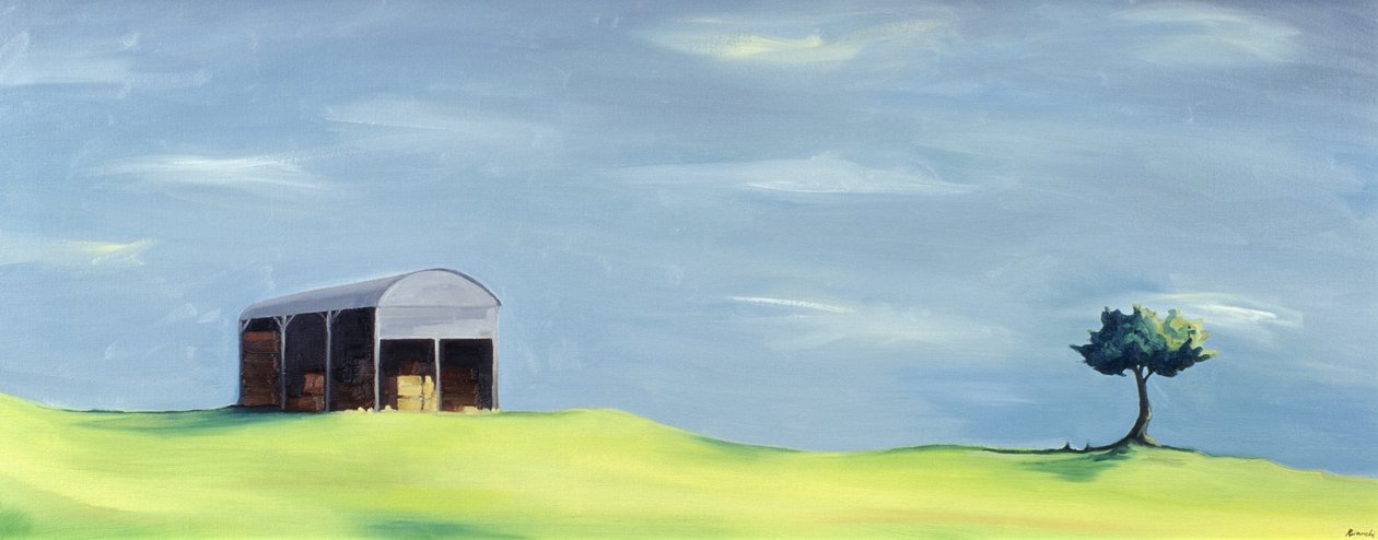 Poulton Fields av Ana Bianchi