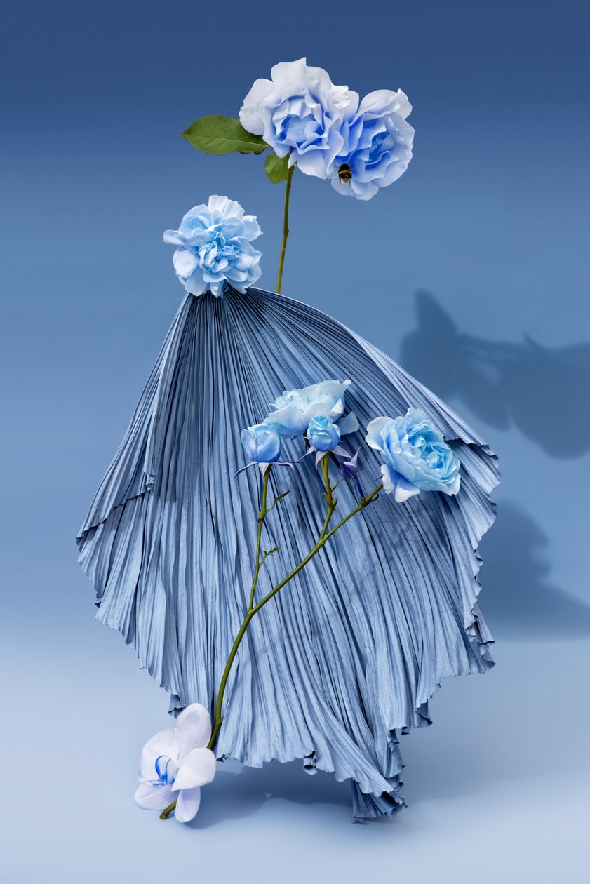 Ikebana 03, 2018 (fotografering) av Ana Carolina Tavares Mizrahi