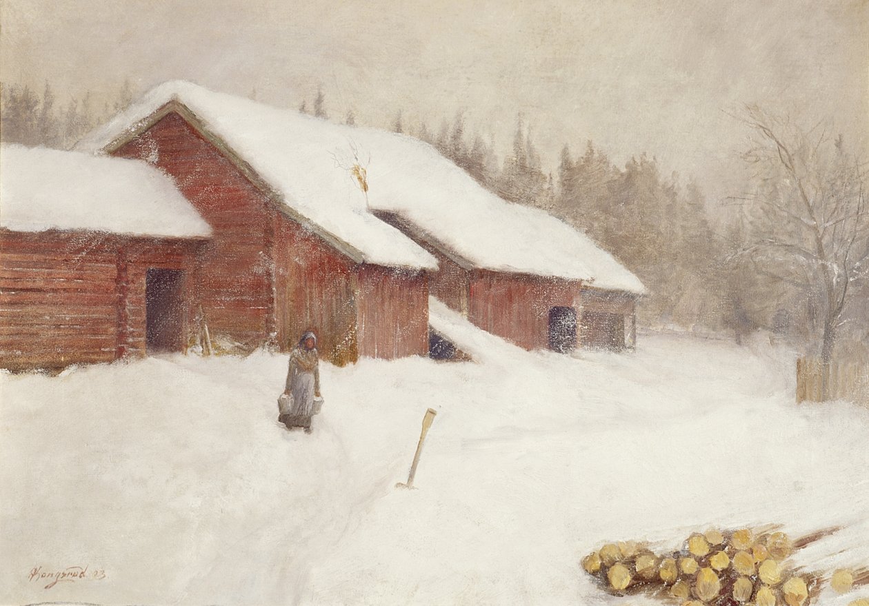 Snøfonn av Anders Kongsrud