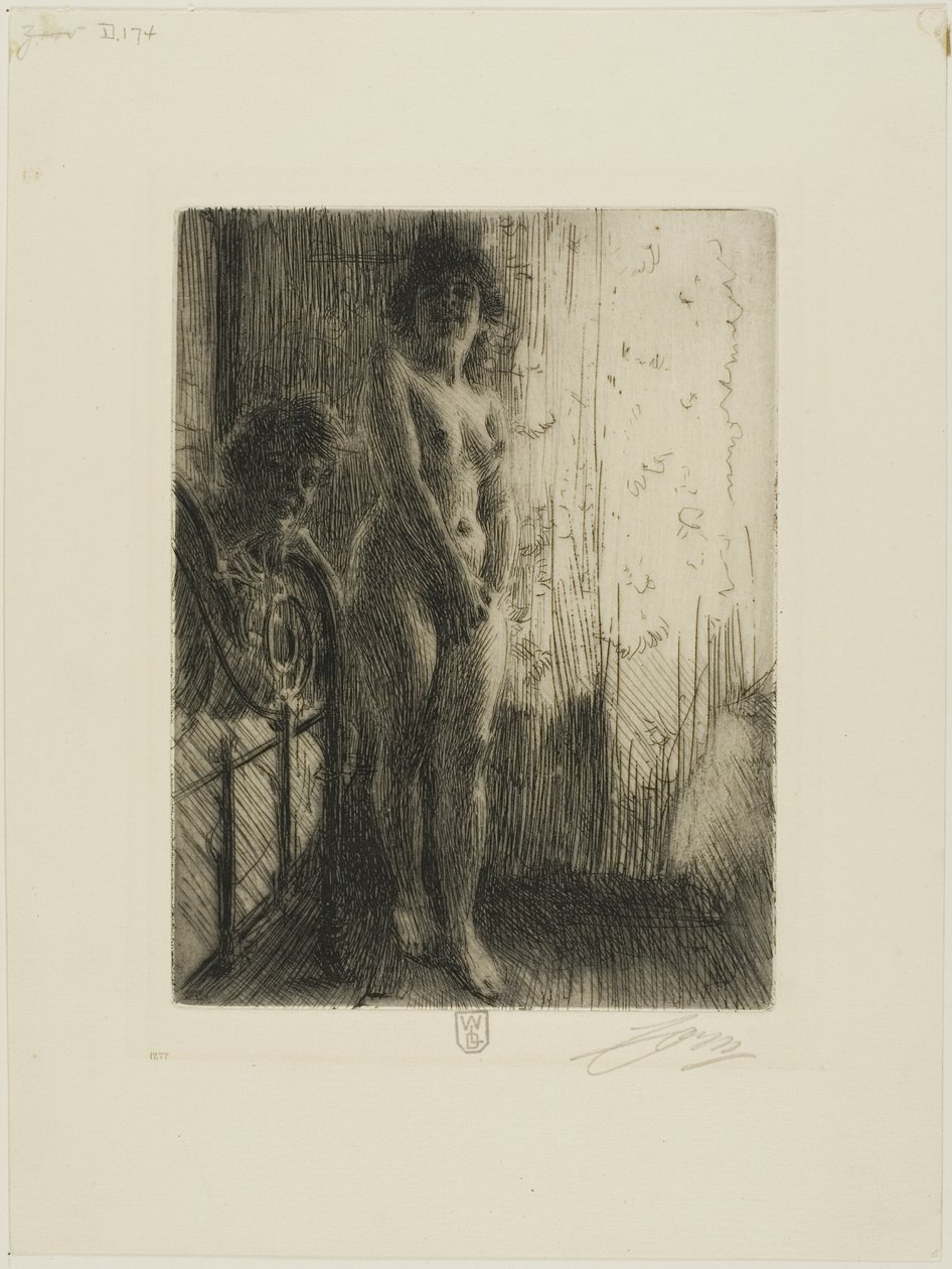 Et mørkt hjørne av Anders Leonard Zorn