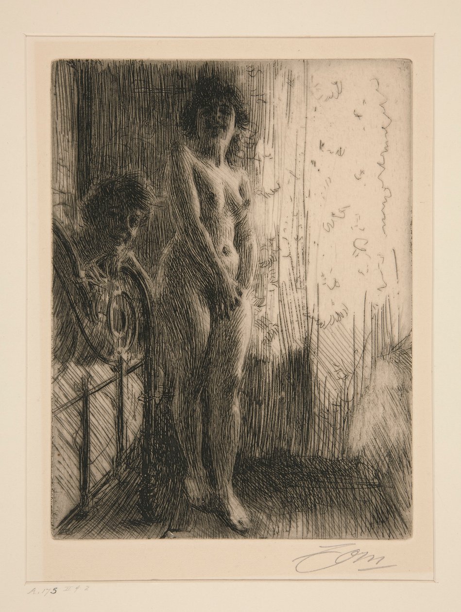 Et mørkt hjørne av Anders Leonard Zorn