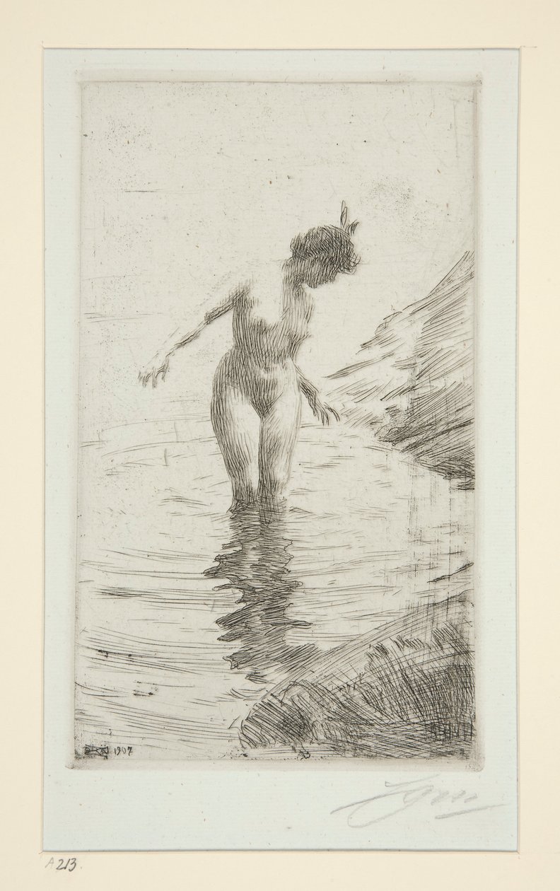 sirkler d av Anders Leonard Zorn
