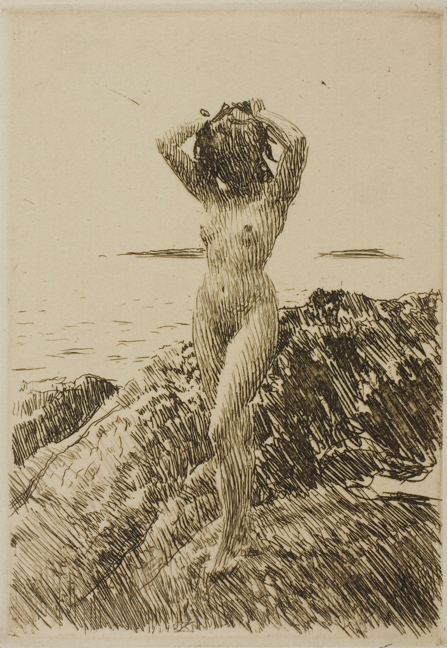 Hårtång (tangkrans) av Anders Zorn