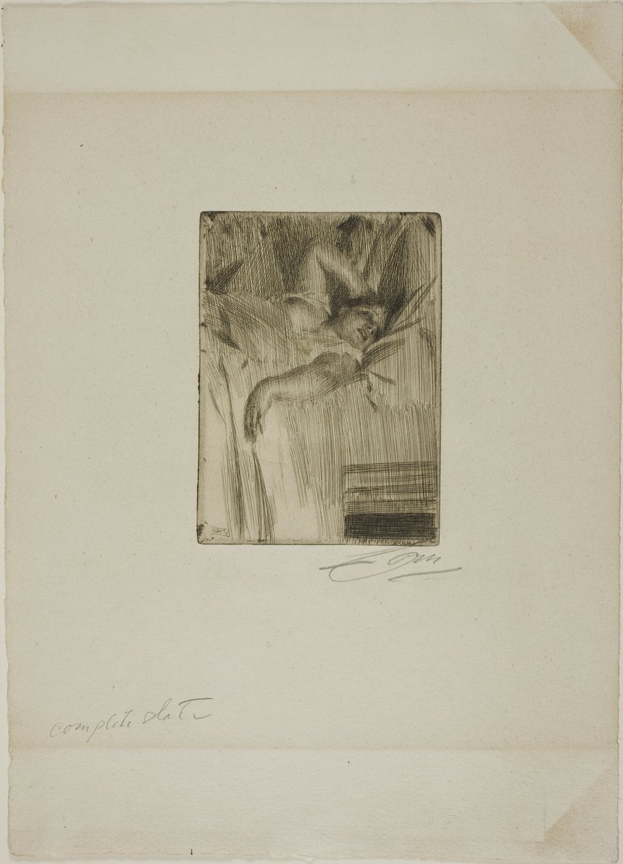 Alarmen av Anders Leonard Zorn