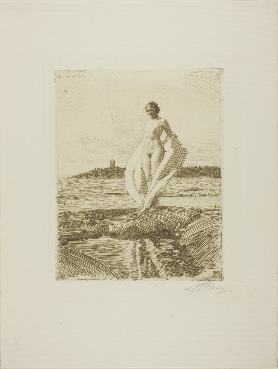 Svanen av Anders Leonard Zorn