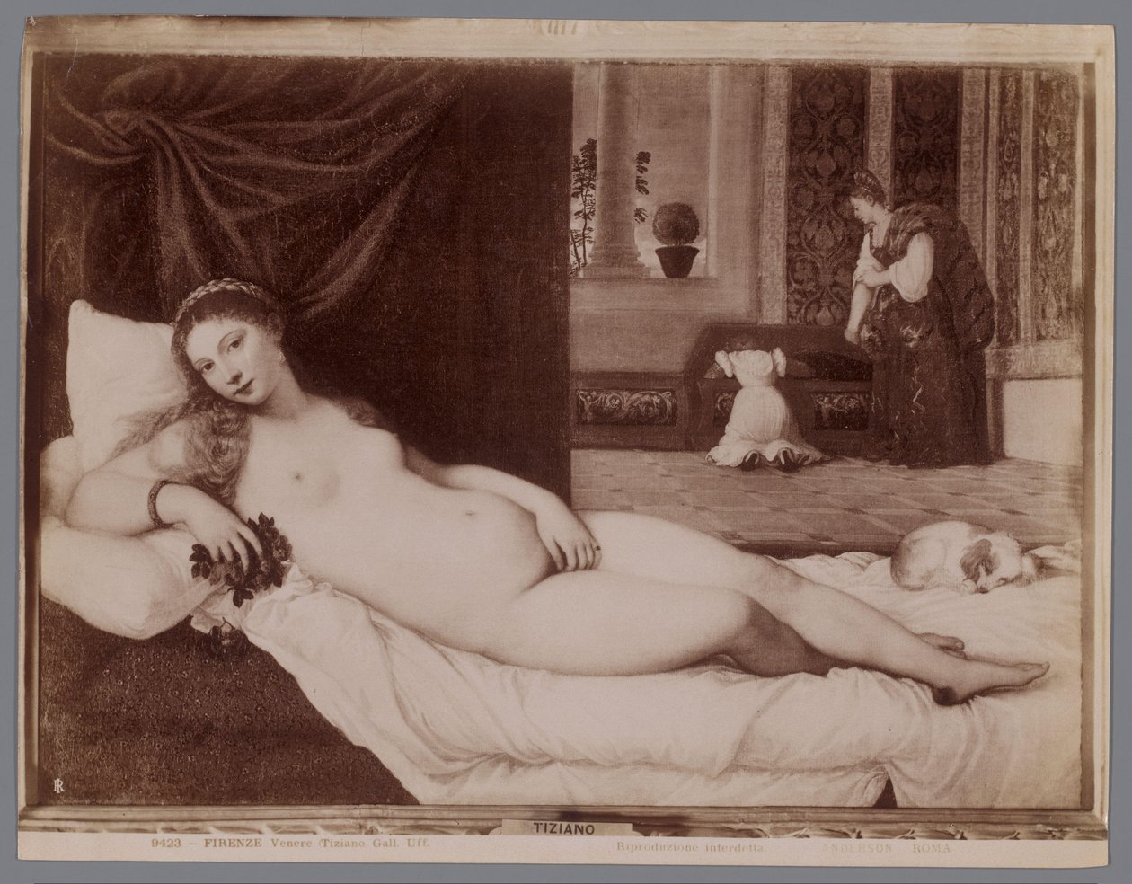 Fotoreproduksjon av maleriet Venus av Urbino av Titian Firenze, Venere (Tiziano Gall. Uff.) (tittel på objekt) av Anderson (firma)