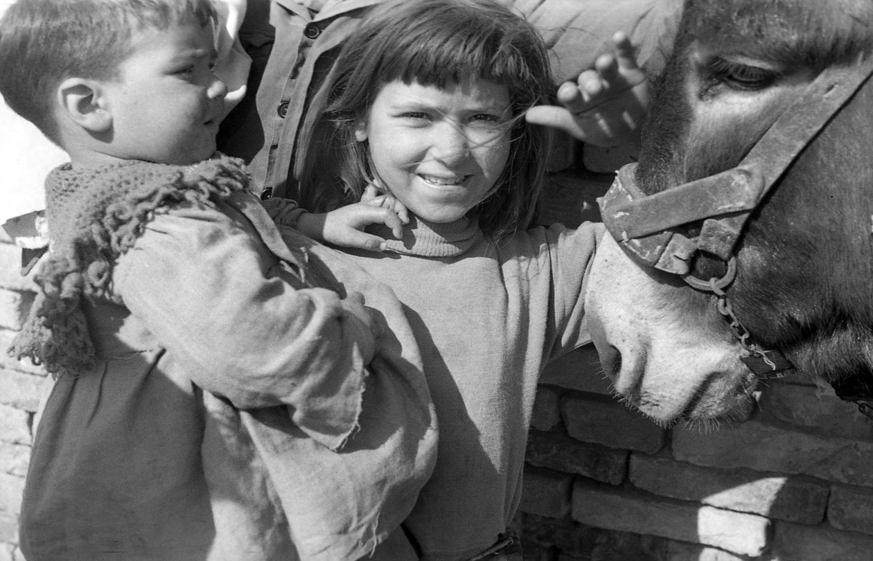 CROTONE - LIVET I ARBEIDERSLANDSBYENE,  av Ando Gilardi