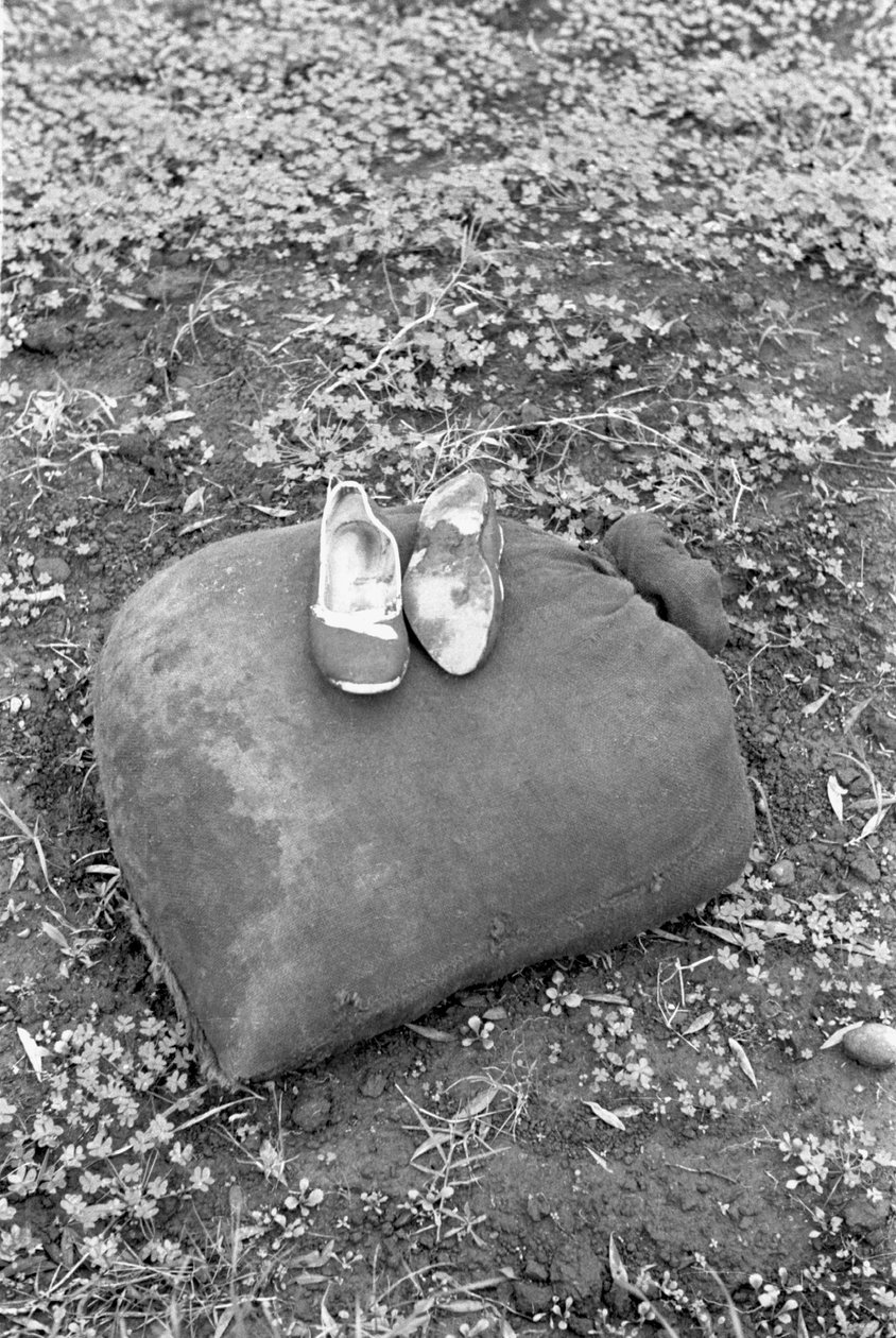 SKO AV EN RACCOGLITRICE AV OLIVEN av Ando Gilardi