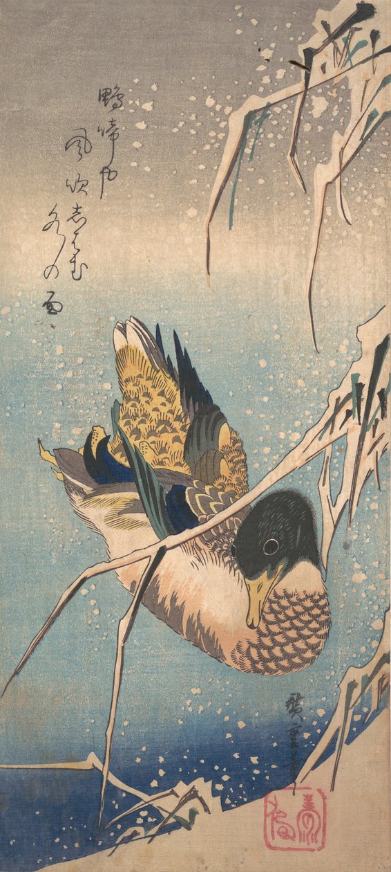 En villand nær en snøfylt strand, ca. 1843., ca. 1843. av Ando Hiroshige