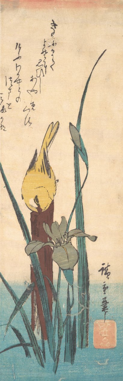 Fugl og Iris. av Ando Hiroshige