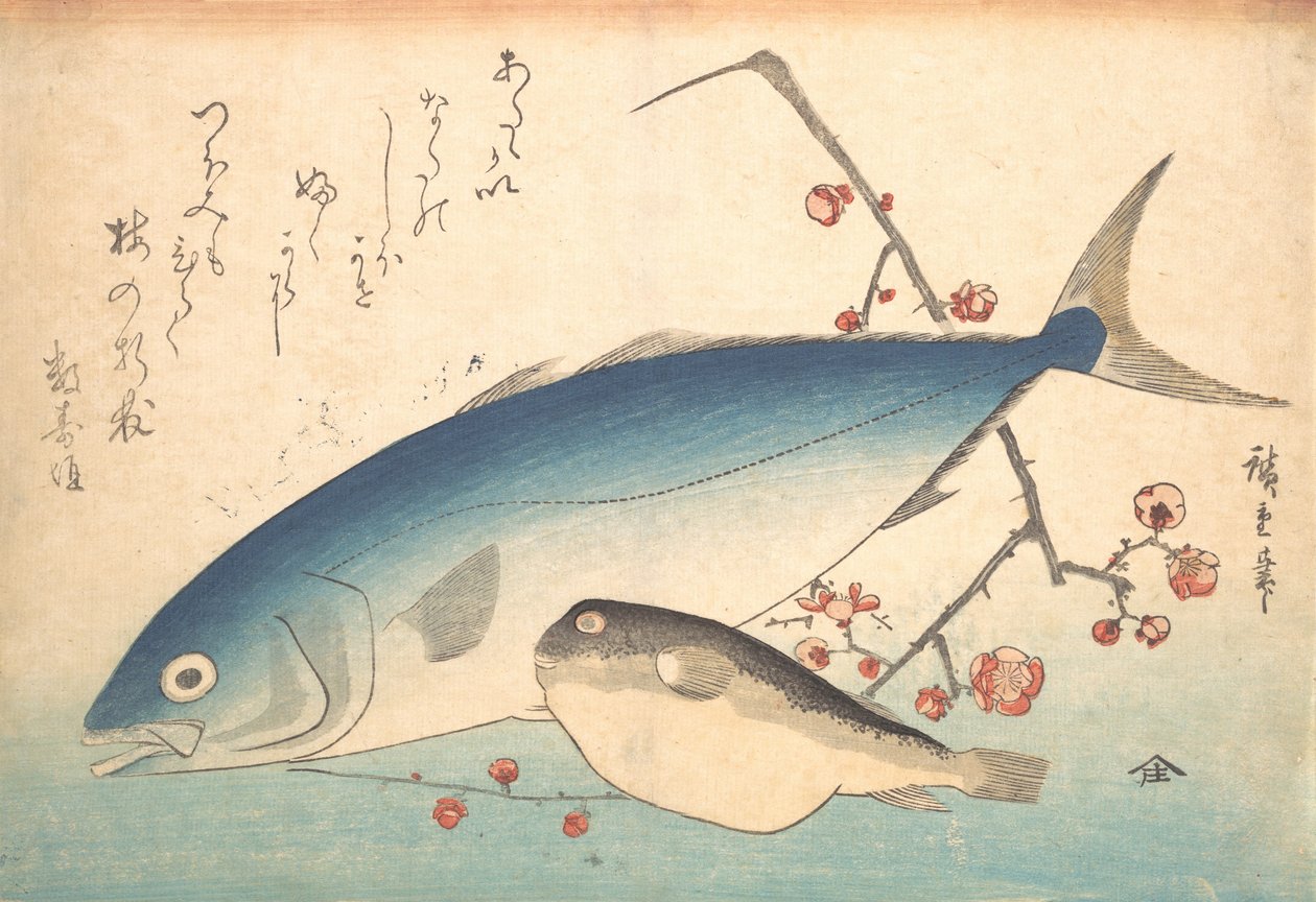 Fugu og Inada Fish, fra serien Uozukushi Every Variety of Fish, 1840-tallet, 1840-tallet. av Ando Hiroshige