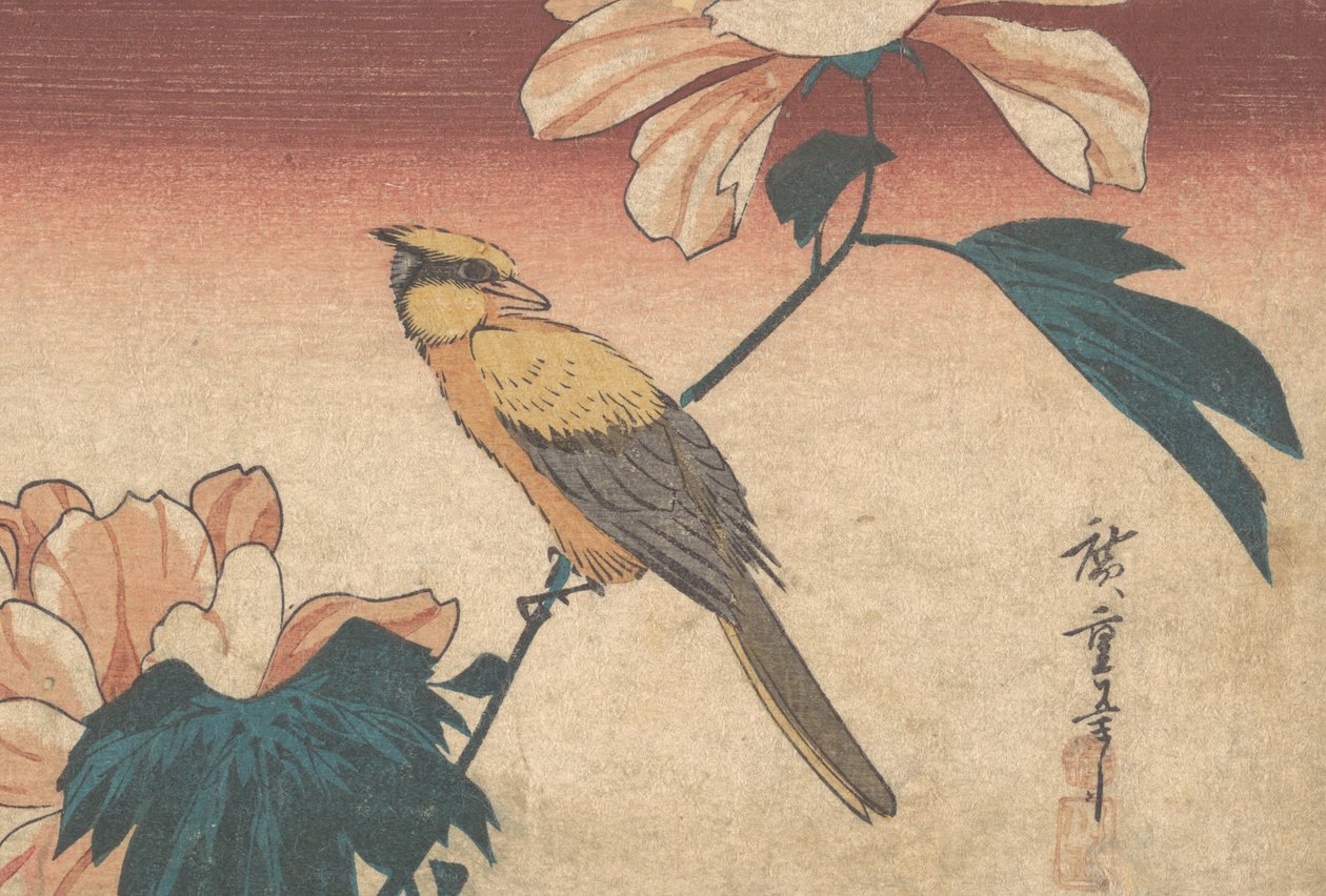 Hibiscus Mutabilis og Jay, ca. 1840., ca. 1840 av Ando Hiroshige