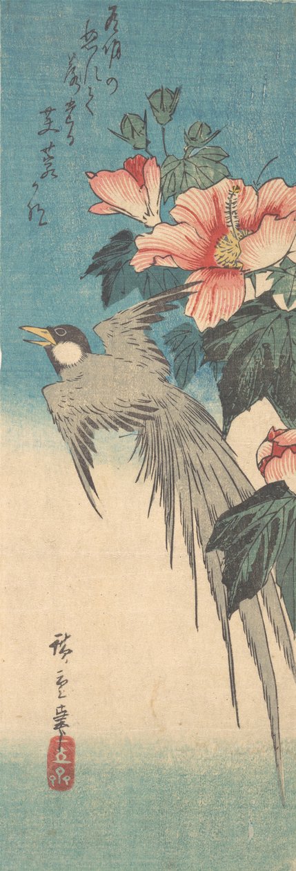 Hibiscus Mutabilis og langhalefugl, ca. 1842., ca. 1842. av Ando Hiroshige