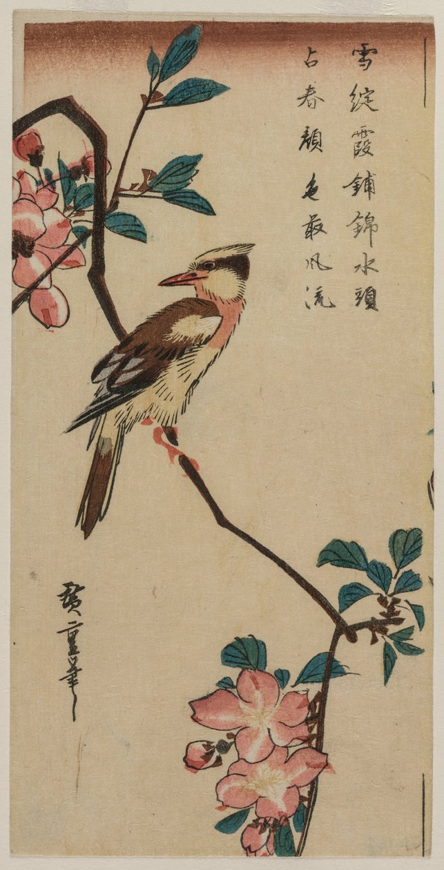 Koreansk nattergal på Cherry Branch, tidlig eller midten av 1830-tallet. av Ando Hiroshige