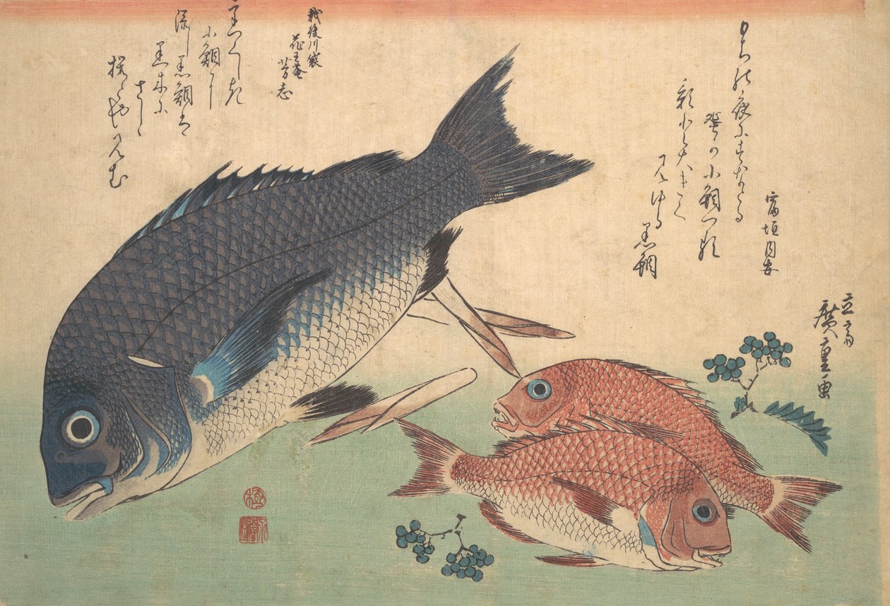 Kurodai og Kodai fisk med bambusskudd og bær, fra serien Uozukushi Every V..., 1830-tallet. av Ando Hiroshige