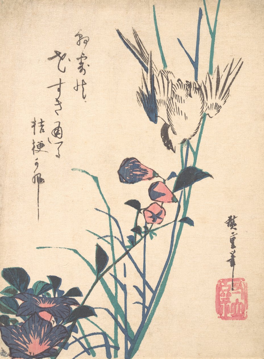 Storblomstret flatnebb og spurv, ca. 1833., ca. 1833. av Ando Hiroshige