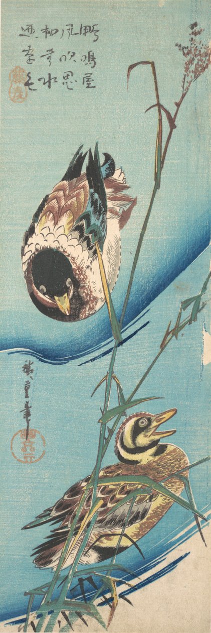 Stokandand og snødekte siv, ca. 1843., ca. 1843. av Ando Hiroshige