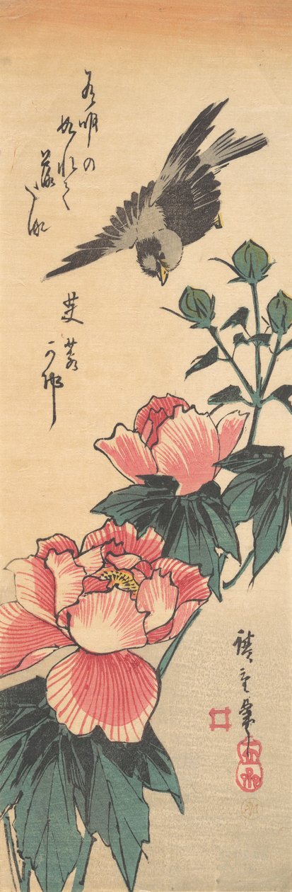 Spurv og Hibiscus, ca. 1834., ca. 1834. av Ando Hiroshige