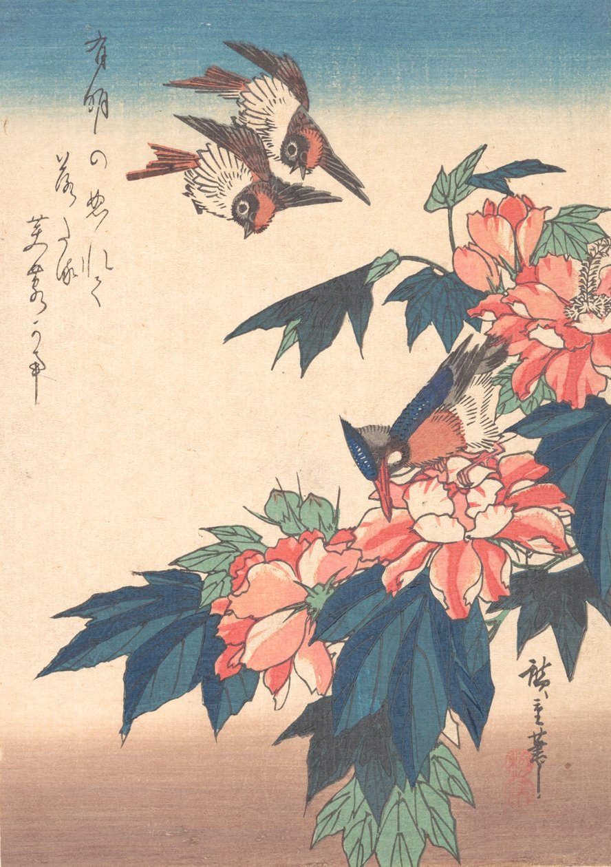 Svaler og Kingfisher med rosemallows, ca. 1838., ca. 1838. av Ando Hiroshige