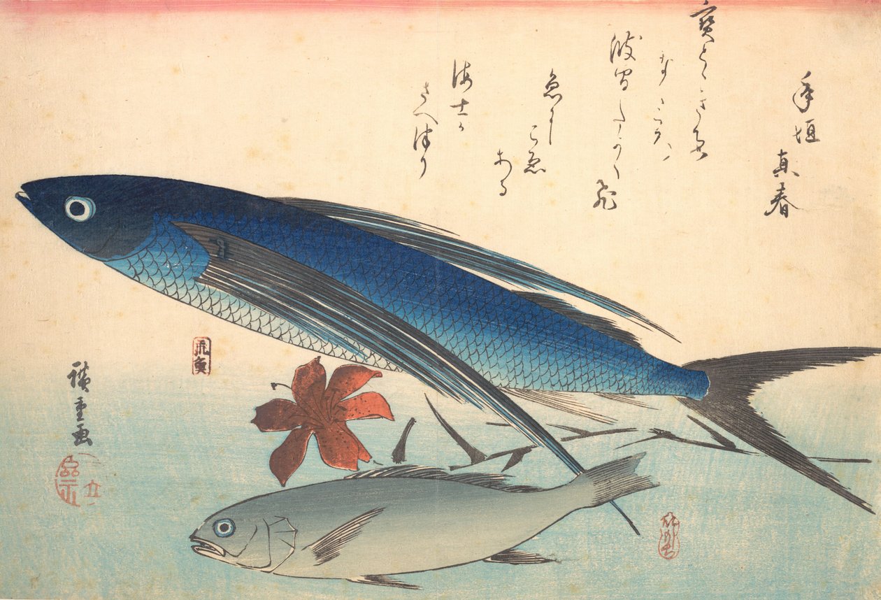 Tobiuo og Ishimochi Fish, fra serien Uozukushi Every Variety of Fish, 1840-tallet, 1840-tallet. av Ando Hiroshige