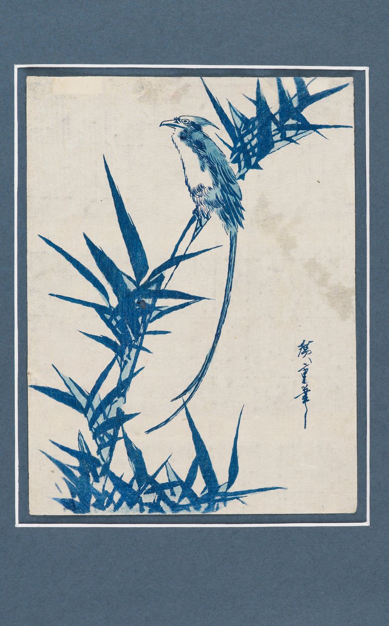 Ukiyo-e-trykk - Fugl på en gren i blått, c1820-1858 av Ando Hiroshige