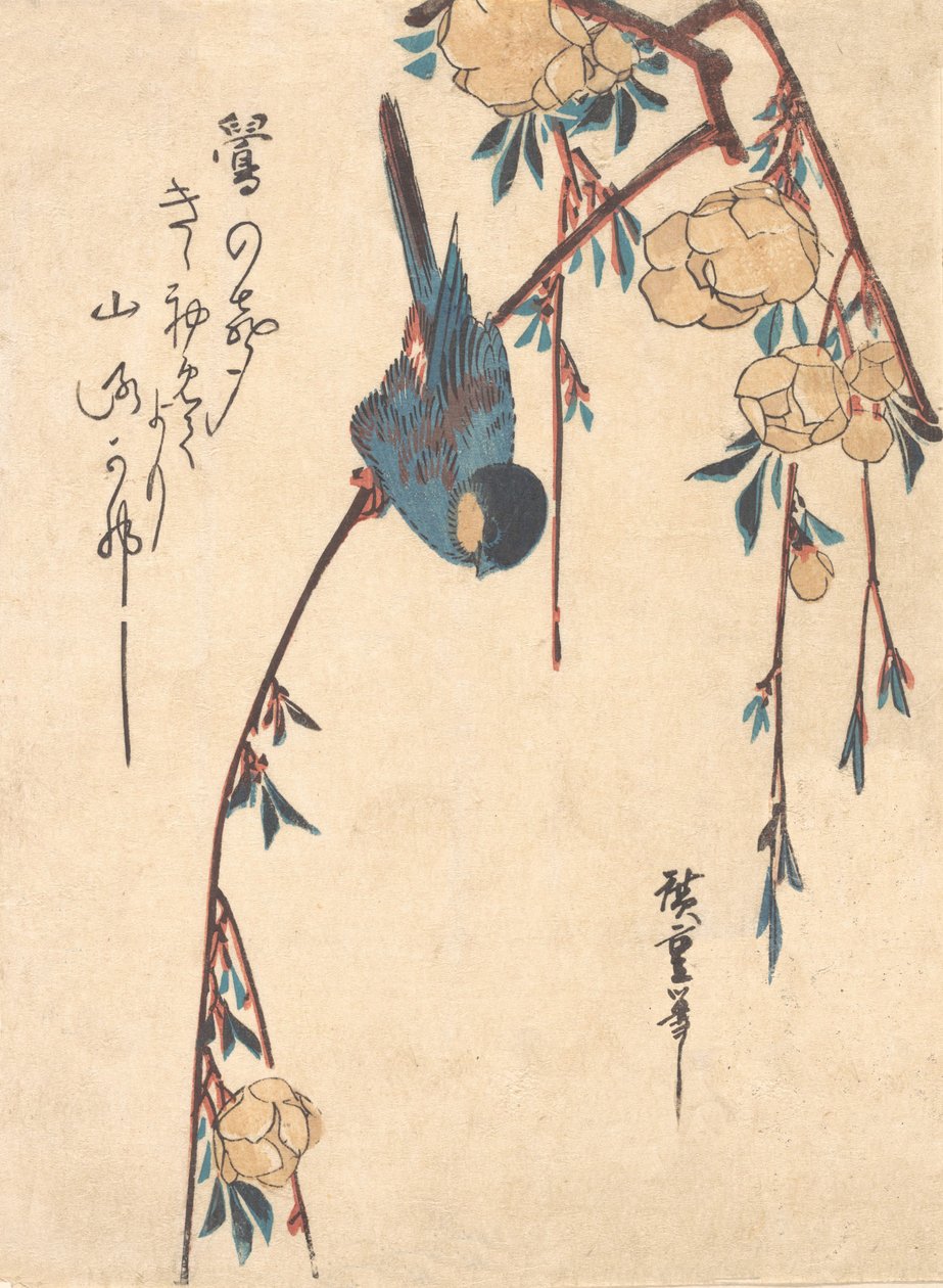 Gråtende kirsebær. av Ando Hiroshige