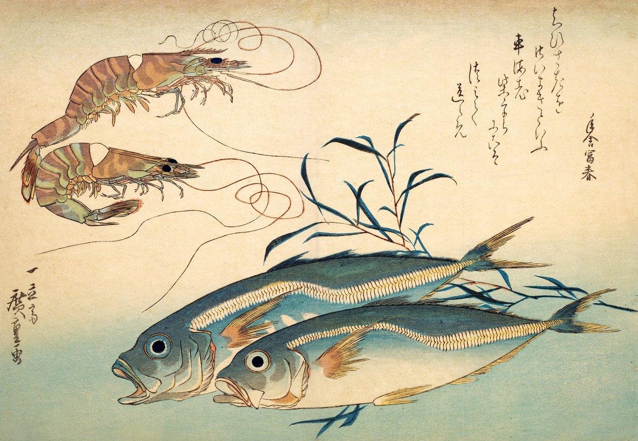 Japansk hestemakrell og japansk tigerreke (farget treblokktrykk) av Ando or Utagawa Hiroshige