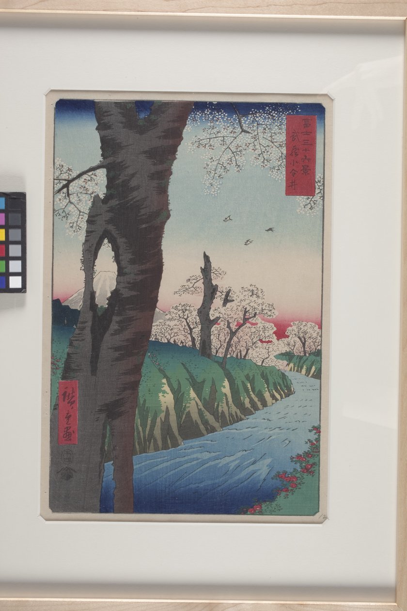 Koganei i Musashi-provinsen (Musashi Koganei) (farget treblokktrykk) av Ando or Utagawa Hiroshige