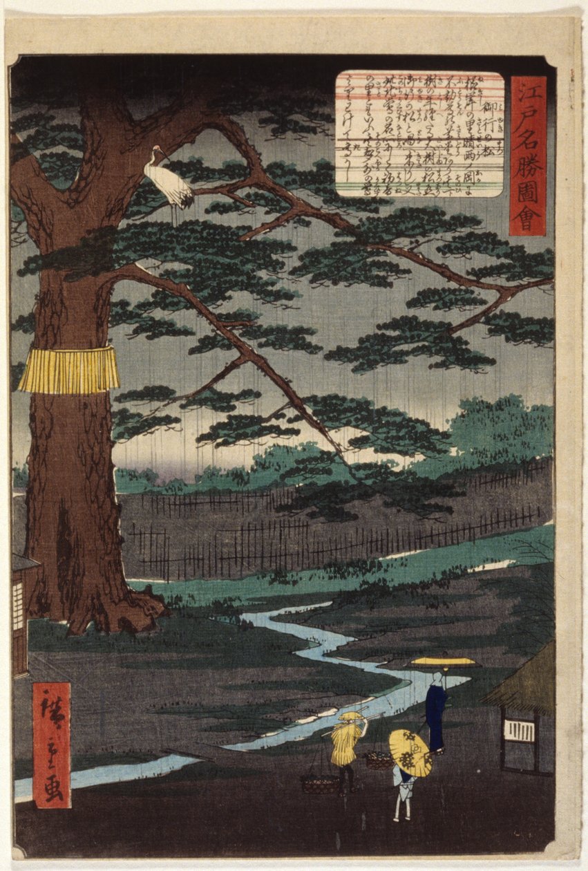 Miyuki Pine (farget treblokktrykk) av Ando or Utagawa Hiroshige