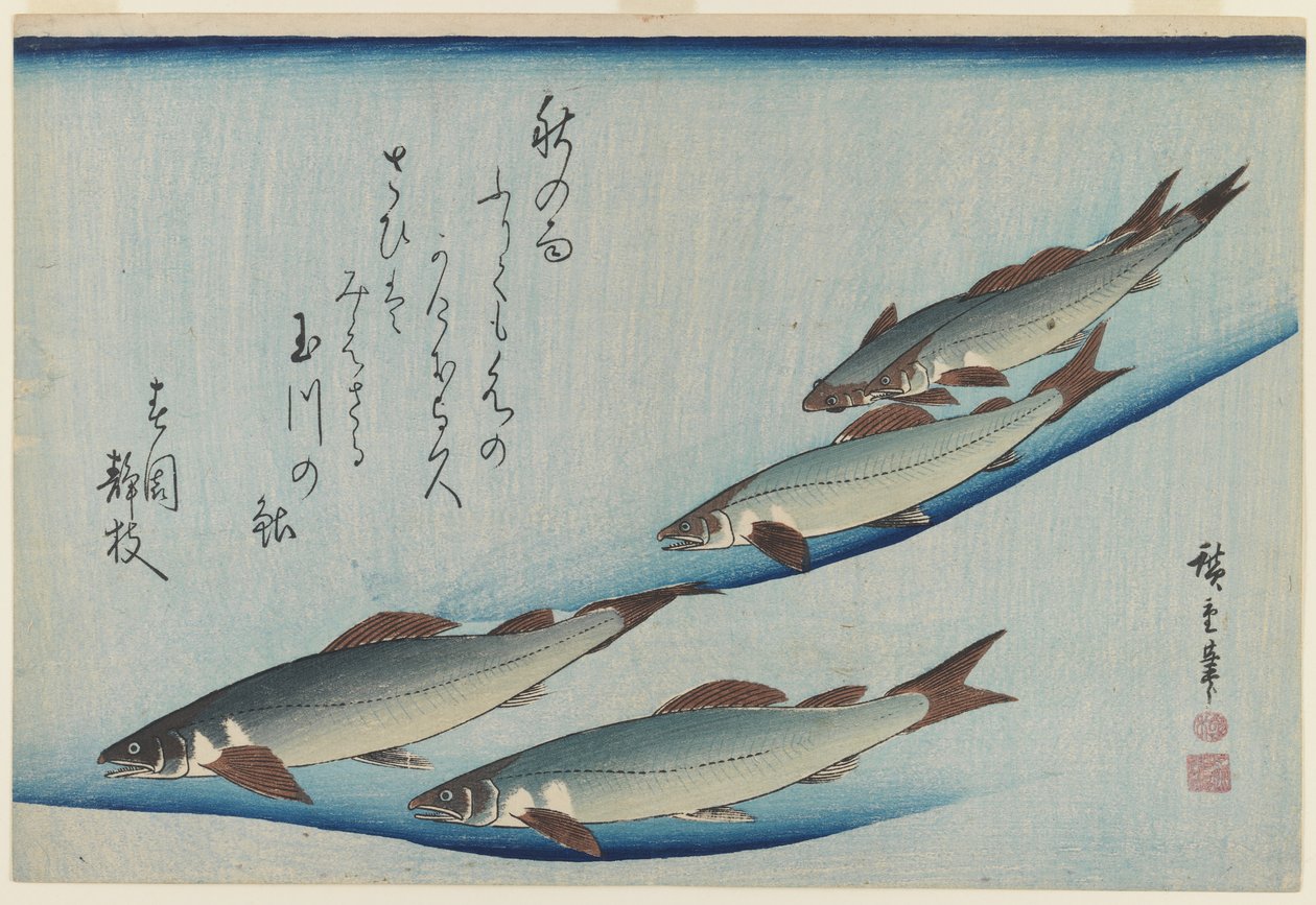 School of Five Sea Trout, Edo Period (farget treblokktrykk på papir) av Ando or Utagawa Hiroshige