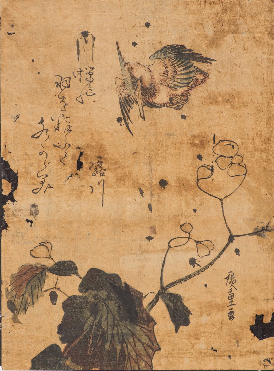 Studie av fugl og plante av Ando or Utagawa Hiroshige